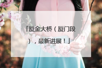 厦金大桥（厦门段），最新进展！